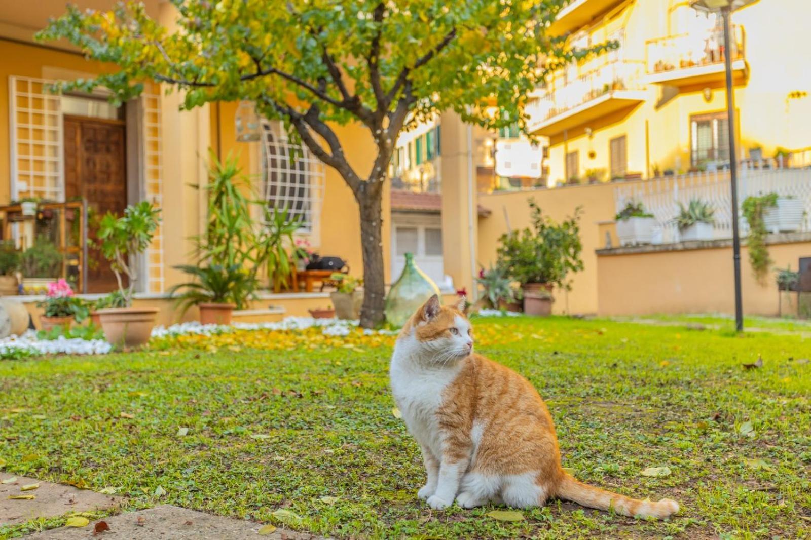 Villa Gatta Roma Esterno foto